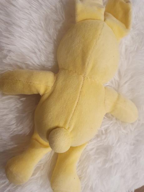 Žltý zajko - mojkáčik, 