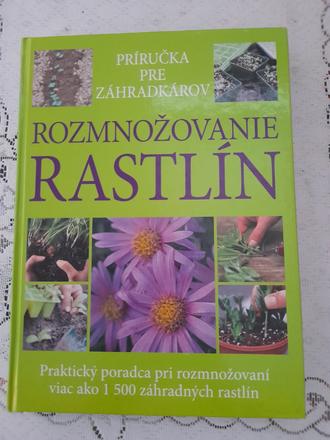 Kniha,