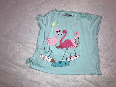 Tričko s plameniakmi, 134