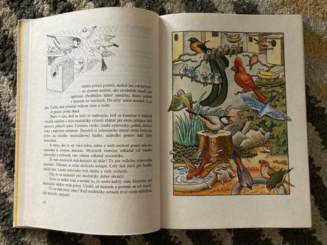 Utečenec na vtáčom strome (1982), 