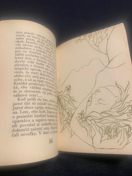 Krásna mini kniha peter a ľucia romain rolland, 