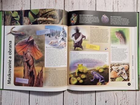 Enciklopedia s 3d obrazkami. "risa zvierat", 