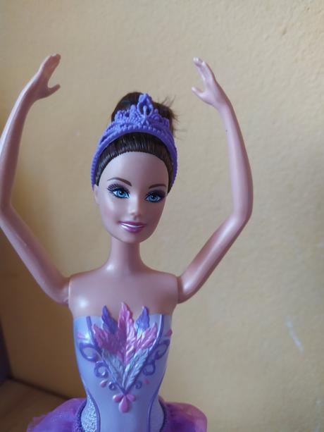 Barbie pink shoes kristyn as odette,