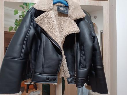 Kožená bunda, new yorker,s
