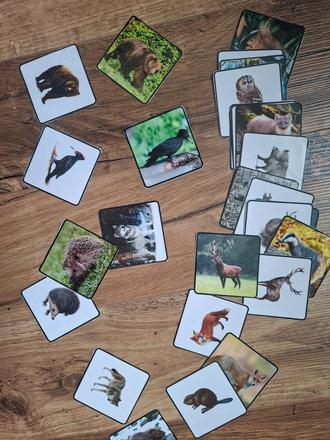 Kartičky lesne zvierata 14 parov, 