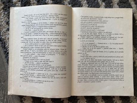 Chlapček husia koža a ryšavé mesto-prvé vyd.1967,