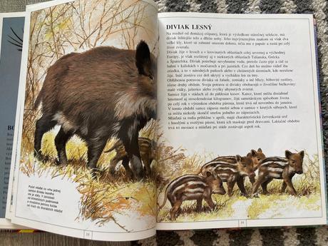 Zvieratá európy-prvé vyd.1997, 