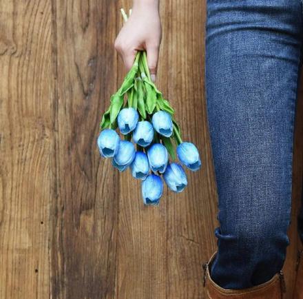 Modré tulipány 5ks, 