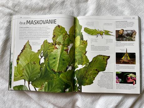 Explantórium prírody,