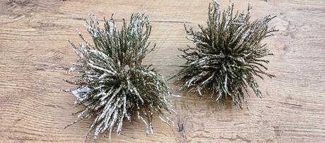 Dekoračná - fotergilla - 12 cm - zlatá, 