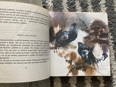 Biely zvonček-prvé vyd.1980,