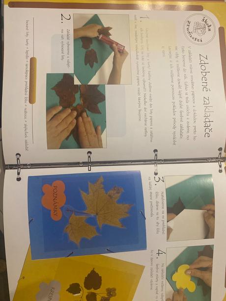 Kniha pre šikovne ruky, 