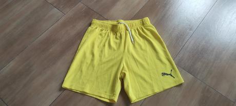 Kraťasy, puma,164