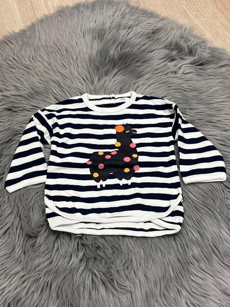 Dievčenská pásikavá mikina, 74