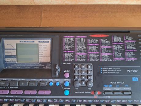 Yamaha psr-220, 