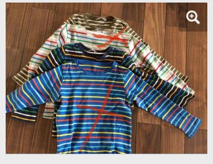 Tricena lindex, lindex,104