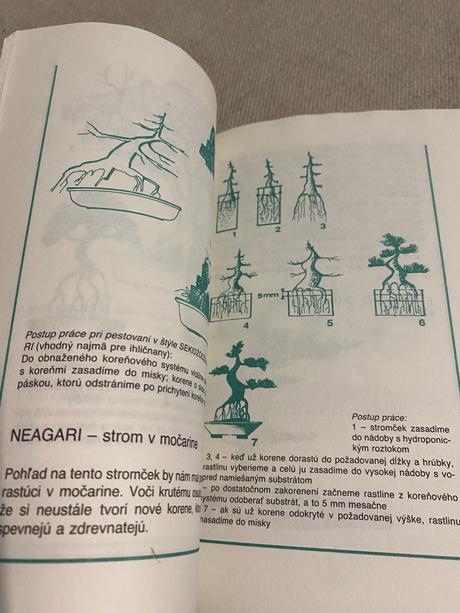 Bonsaj jozef konečný,