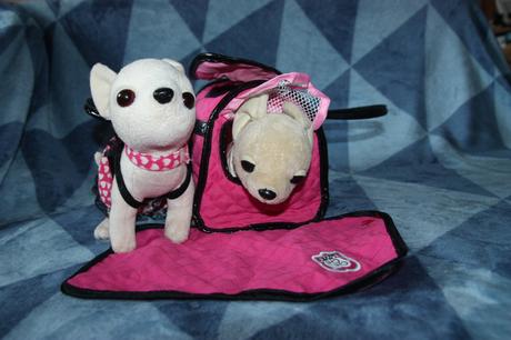 2x chichi psík a taška, 