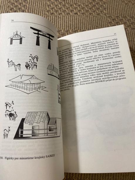 Miloslav ryšán  bonsaj, 