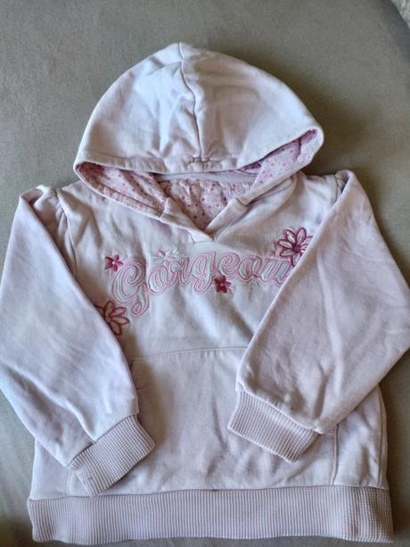 Mikinka, st. bernard,104