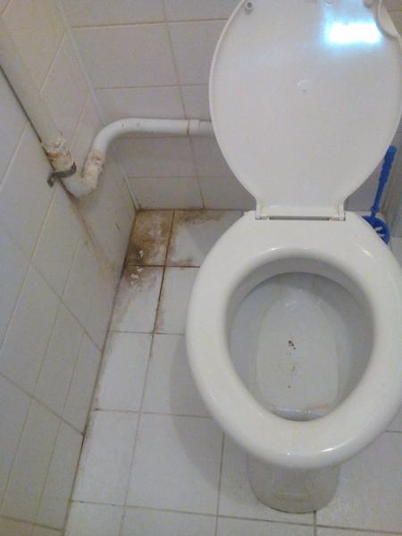 Gynekologické oddelenie v Leviciach - zlá skúsenosť