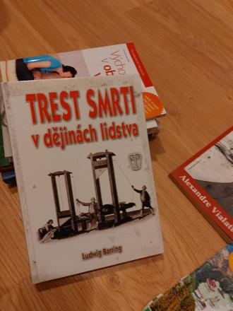 Trest smrti cena aj s poštovným,