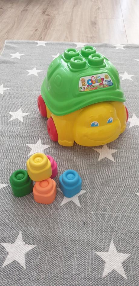 Korytnacka clementoni, 