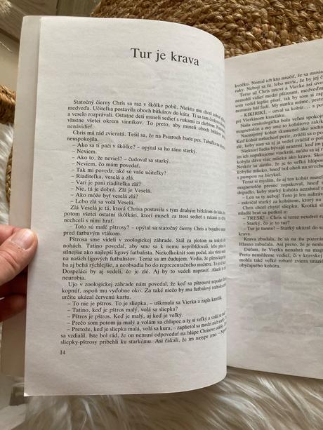 Zlejko sa vráti peter valo (1992),