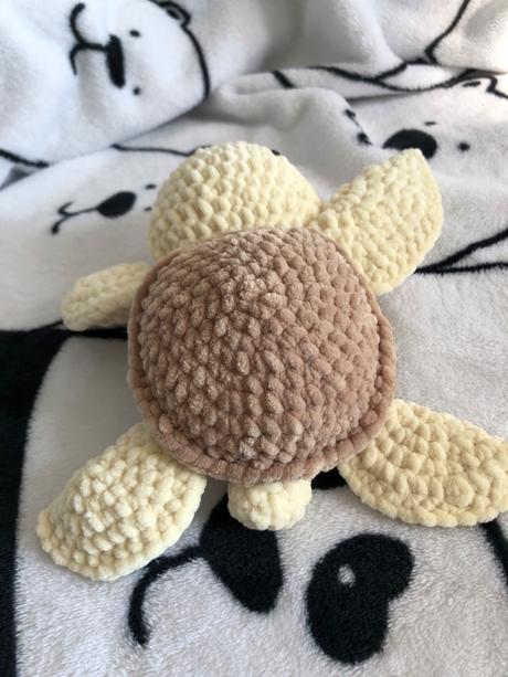 Hackovana korytnacka, 