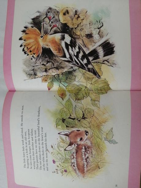 Anglická kniha - my little animal friends of the f, 