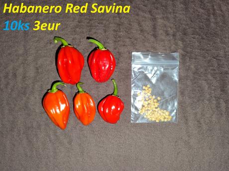 Semená čili/chilli papričiek,