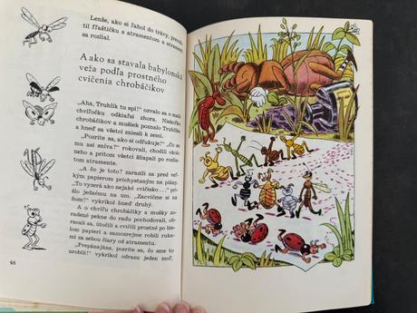 Chrobak truhlik knizka,