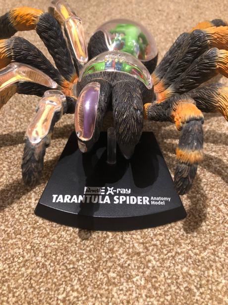 Pavuk tarantula maketa, 