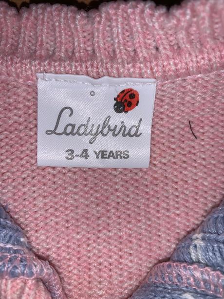 Veselý svetrik, ladybird,104