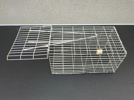 Pasca na potkany celokovová,