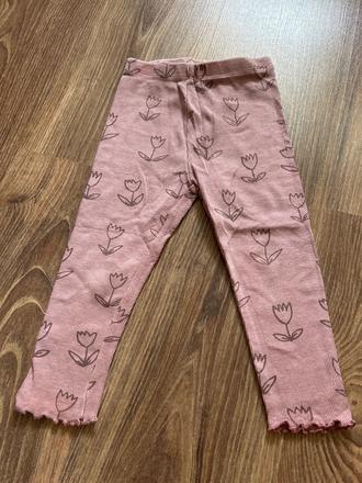 Leginy zara, zara,92