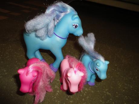 Mix pony, 