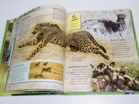 My first animal encyclopedia, 
