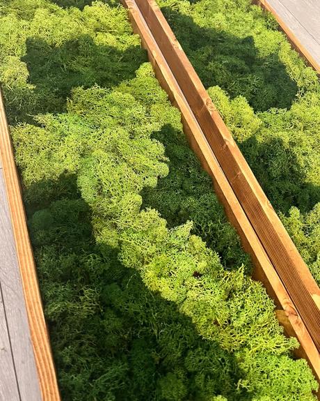 Machovy obraz 126x30 cm,