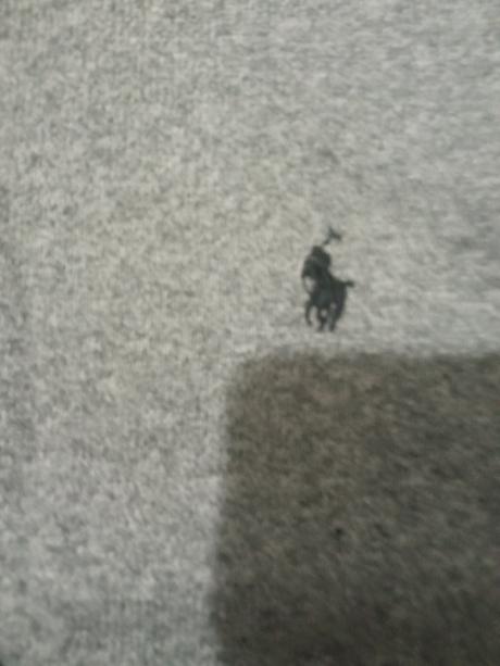 Ralph lauren, ralph lauren,98