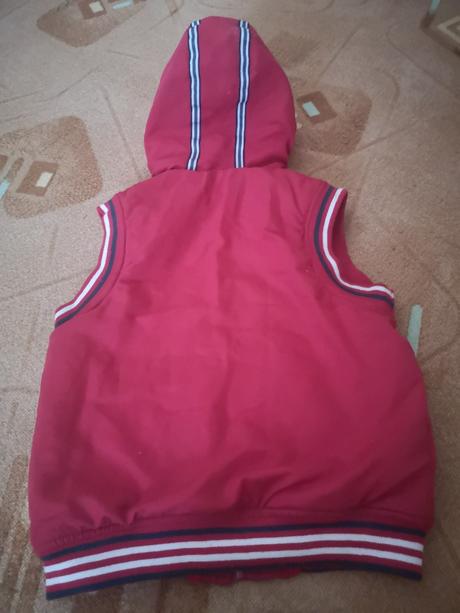 Vesta prechodná, forest,110