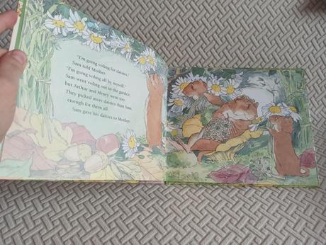 Martin waddell - sam vole and his brothers, 