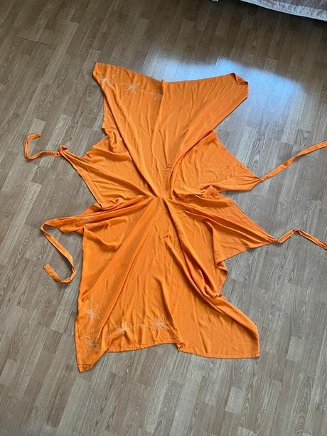 Suknonohavice s vysivkou, 