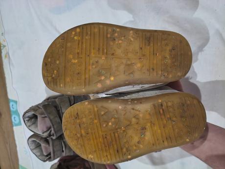 D.d.step 26, d.d.step,26