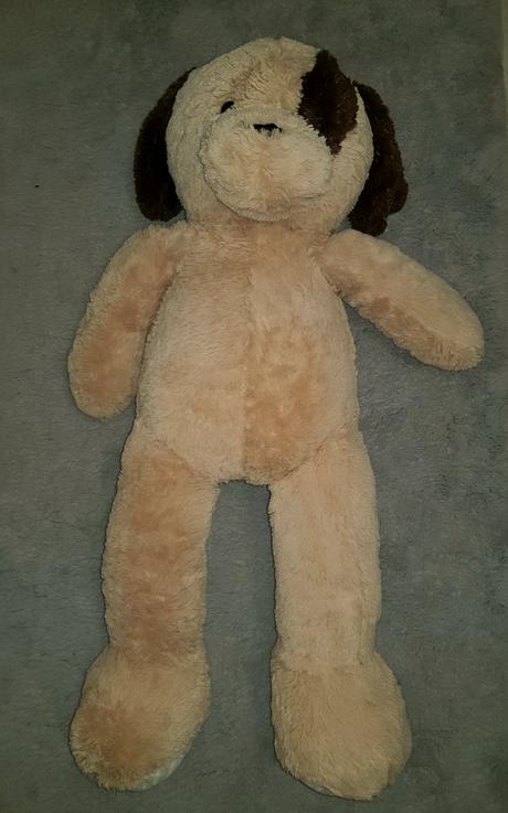 Plyšový psik,