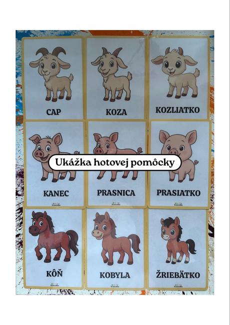 Domáce a hospodárske zvieratá - kartičky, 