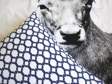 Obliečka na vankúš royal 50x50cm, 50,50