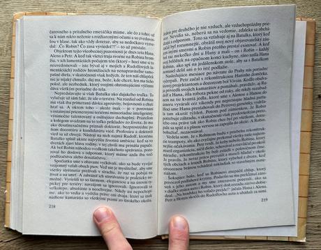 Kniha robin zdena frýbová,