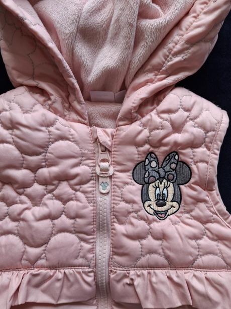 Vesta minnie, disney,86