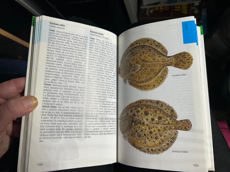 Kniha morské ryby, 